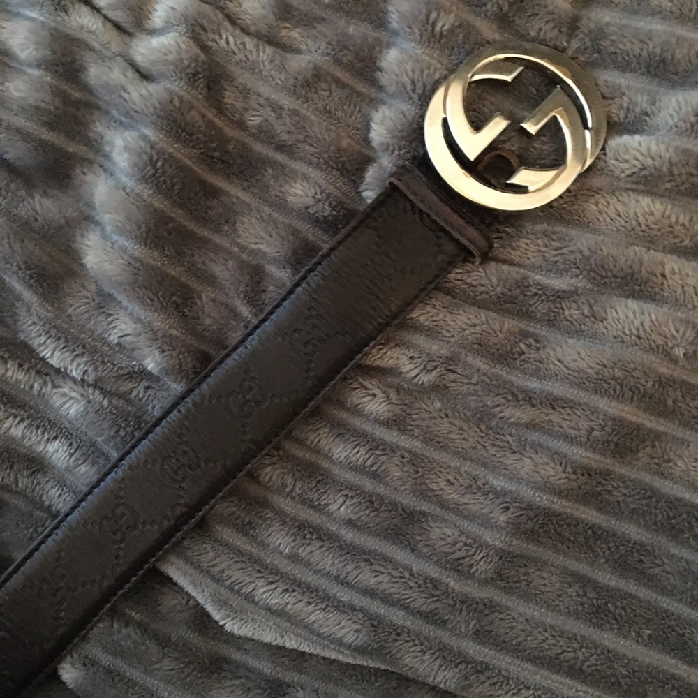 Brow gucci belt